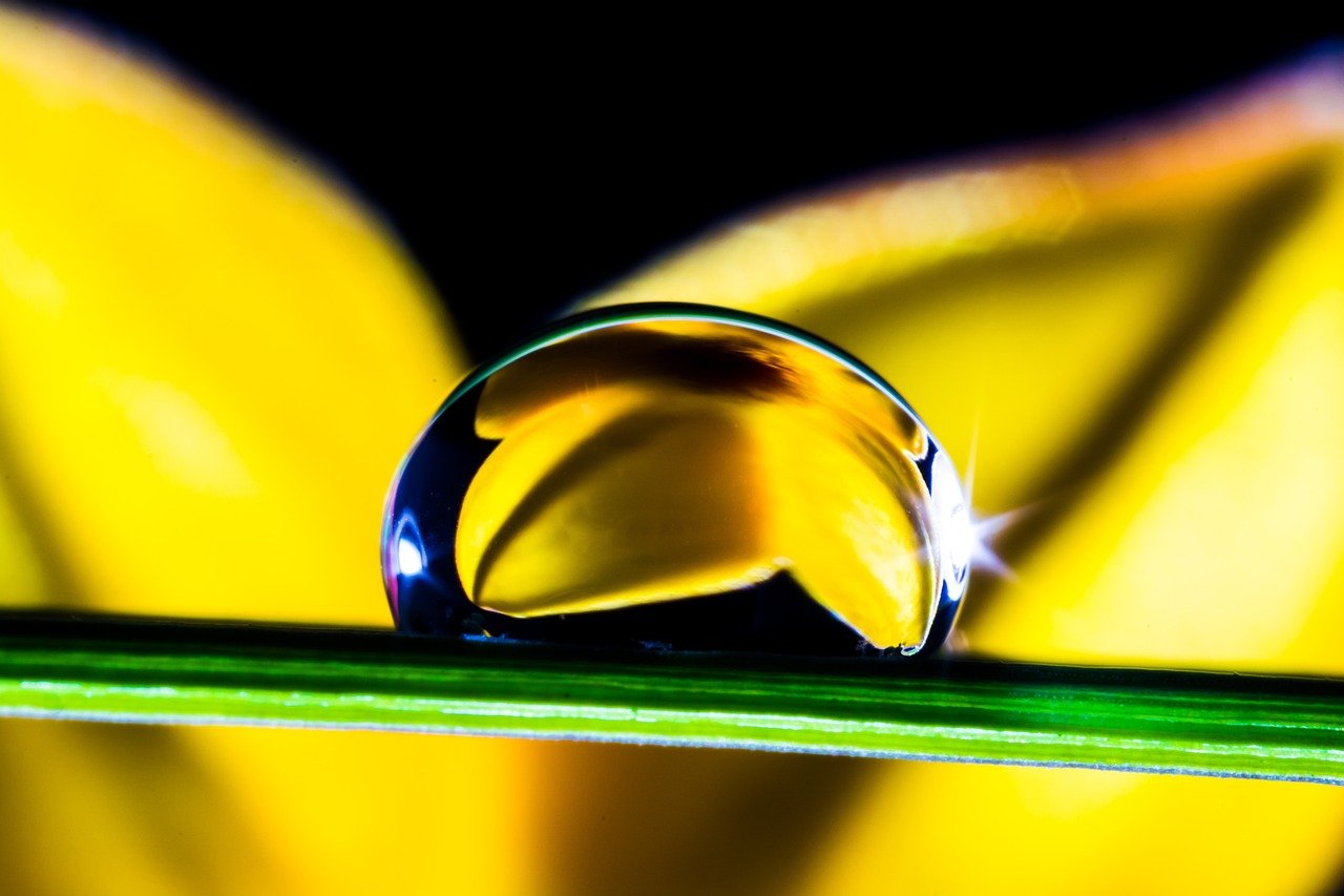 waterdrop, drops, blade of grass